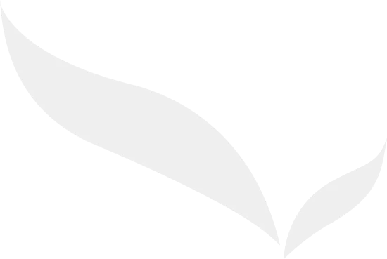 types of dental treatment