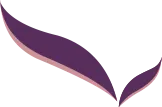 dental treatment cost india